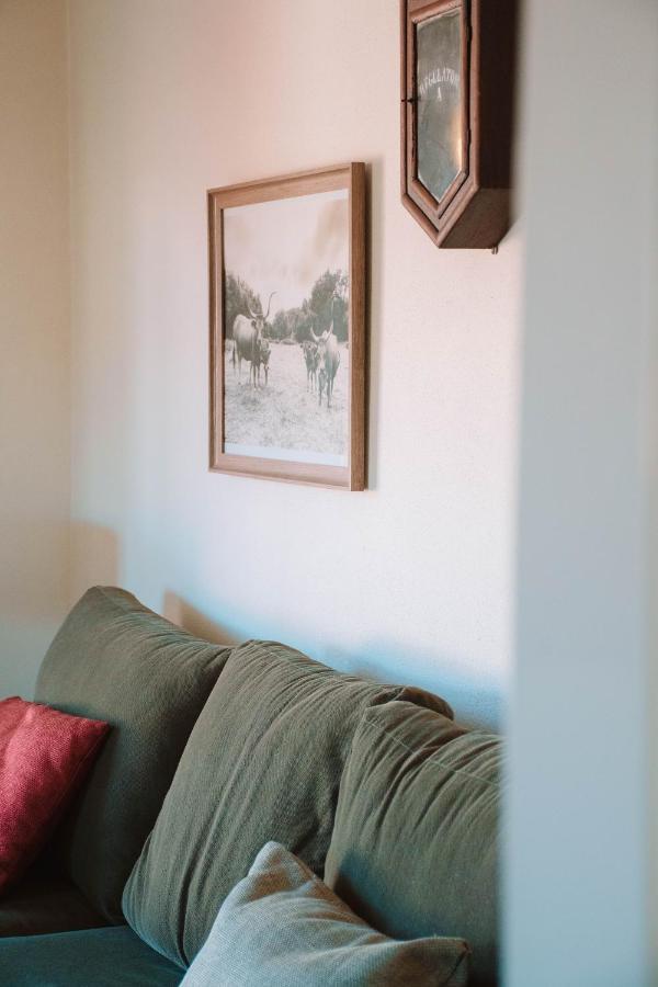 Just Like Home - Casa Antonio Em Paredes De Coura Buitenkant foto